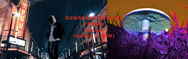 apvp Абаза
