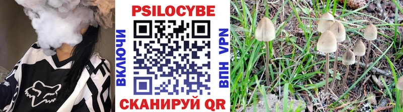 мориарти состав  Нолинск  Галлюциногенные грибы Cubensis  хочу наркоту 